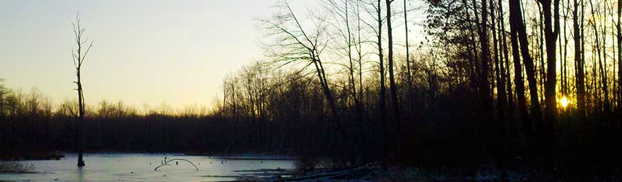 Image Of Hillside In Troy Township