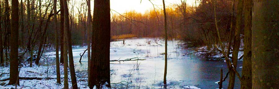 Image Of Pond Taken In Mentor