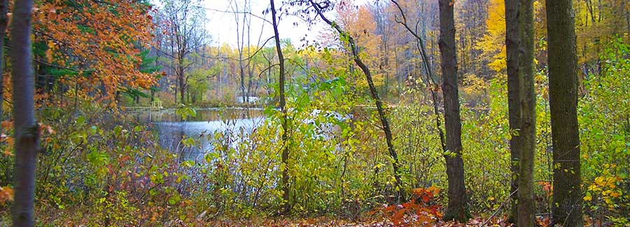 Image Of Creek Taken At The End Of Winter In Thompson Township