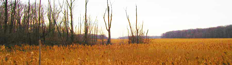 Image Of Mentor Marsh Taken In Mentor