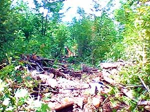 Image Of Barn In Middlefield Township